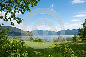 lake view Tegernsee from Gmund Kaltenbrunn, spring landscape with green branches, bavaria