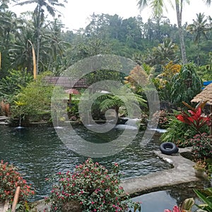 Lake view, trees, footpath and river