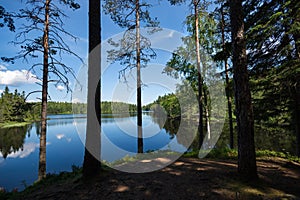 A lake view through the trees on a sunny spring day