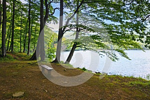 Lake in vihorlat mountains, slovakia