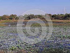 A lake in village of buried flinging up water