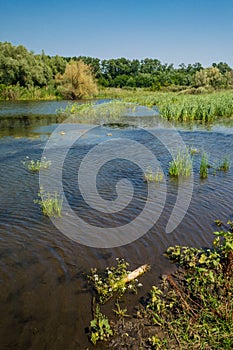 Lake in the village landscape at a daytime