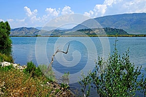 Lake Vivari Albania