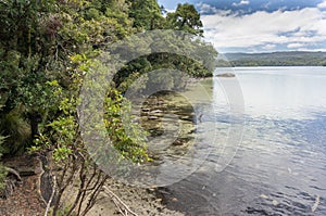 Lake Waikareiti Walk. Te Urewera National Park