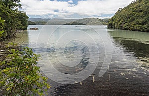 Lake Waikareiti Walk. Te Urewera National Park