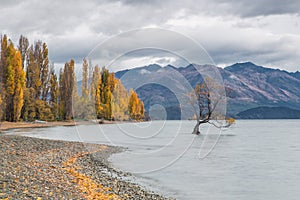 Lake wanaka, New Zealand