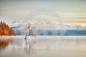 Lake Wanaka Otago New Zealand