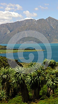 Lake Wanaka South Island New Zealand