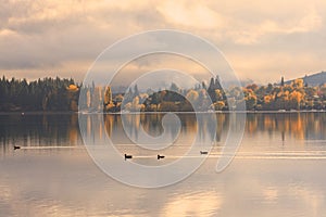 Lake Wanaka,South Island New Zealand.