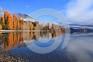 Lake Wanaka,South Island New Zealand.