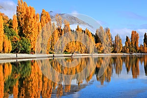 Lake Wanaka,South Island New Zealand.