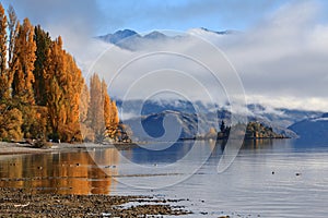 Lake Wanaka,South Island New Zealand.