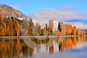 Lake Wanaka,South Island New Zealand. photo