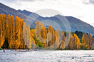 Lake Wanaka at sunset in Autumn season. I