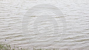 lake water flotting in the waves