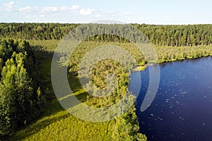 Lake water and green forest trees, aerial view. Summer landscape, beautiful nature, sunny day