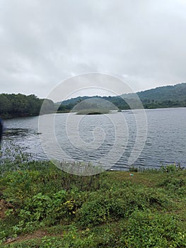 lake water with plants and clowdy sky