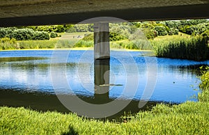 Lake water reflexion at city park