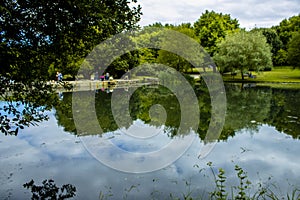 Lake water reflexion at city park