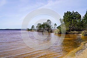 Lake water and sandy wild natural beach in Lacanau Gironde Aquitaine