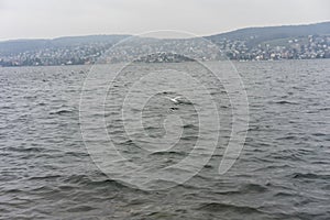 Lake zurich water and mountain landscape with rainy weather