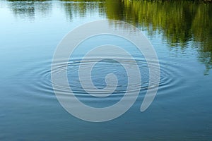 Lake water surface with circular ripples