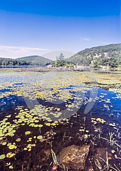 Harriman State Park, New York State lake