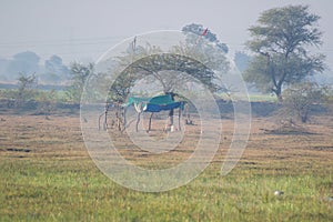 Lake and Wetland Encroachment in India photo
