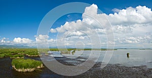 Lake,wetland,sky and cloud
