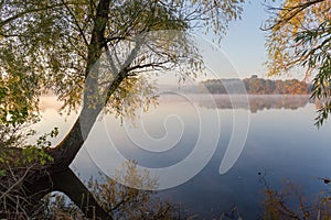 Lake with willows on shore, fog over water during sunrise