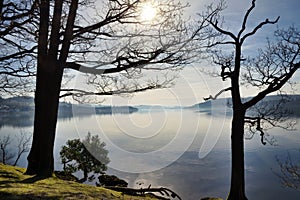 Lake Windermere framed by two trees