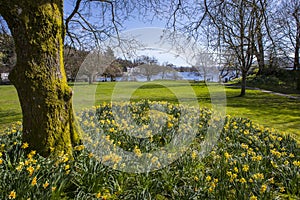 Lake Windermere in Spring