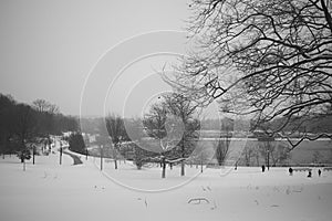 Lake in winter