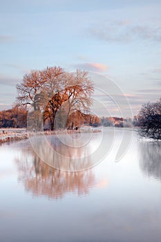 Lake in winter