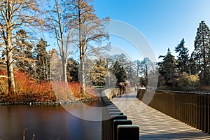 Lake in winter in Kew Gardens, London