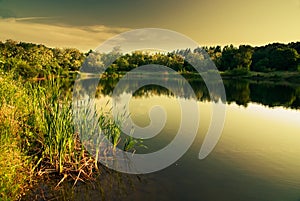 Lake in winter (warm filter)