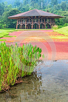 Lake and Wooden Building photo
