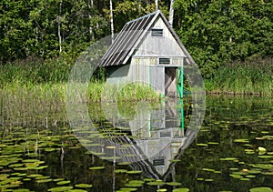 At the lake in the woods