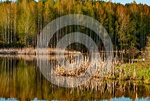 Lake of the Woods on a spring morning!