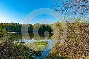 Lake of the Woods on a spring morning!