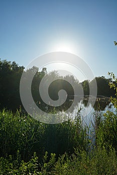 Lake Wuhlesee surrounded by lush vegetation in June at sunset. Berlin, Germany