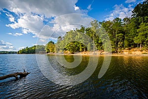 Lake Wylie, at McDowell Nature Preserve, in Charlotte, North Car