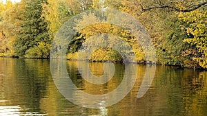 Lake with yellow foliage photo