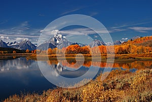 Lake with yellow foliage photo