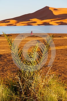 in the lake yellow morocco sand and dune