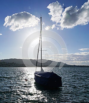 Lake Zuerich Kuesnacht photo