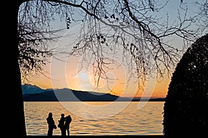 Lake of Zug Sunset with Tree an People