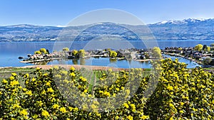 Lakefront Subdivision on Okanagan Lake West Kelowna British Columbia Canada photo