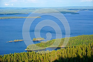 Lakeland Pielinen,Koli, Finland