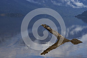 Lakes of the Carretera Austral photo